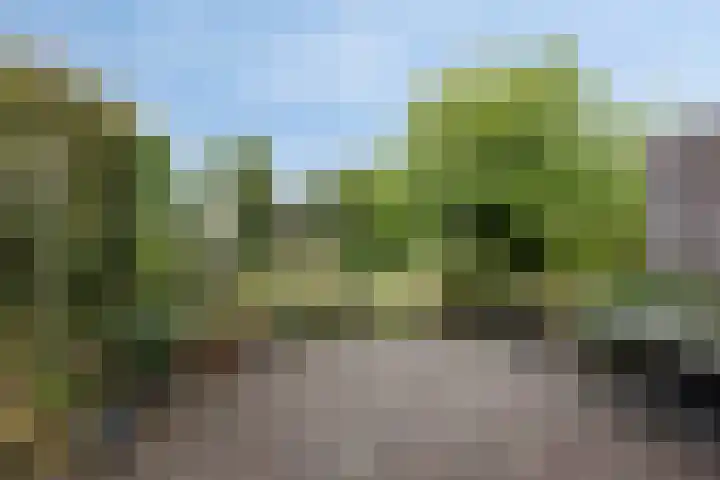 P.J. Troelstrastraat 3 Appelscha thumbnail 32