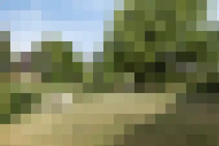 P.J. Troelstrastraat 3 Appelscha thumbnail 33