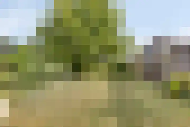 P.J. Troelstrastraat 3 Appelscha thumbnail 34