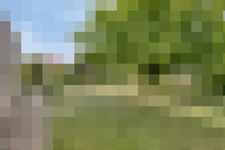 P.J. Troelstrastraat 3 Appelscha thumbnail 35