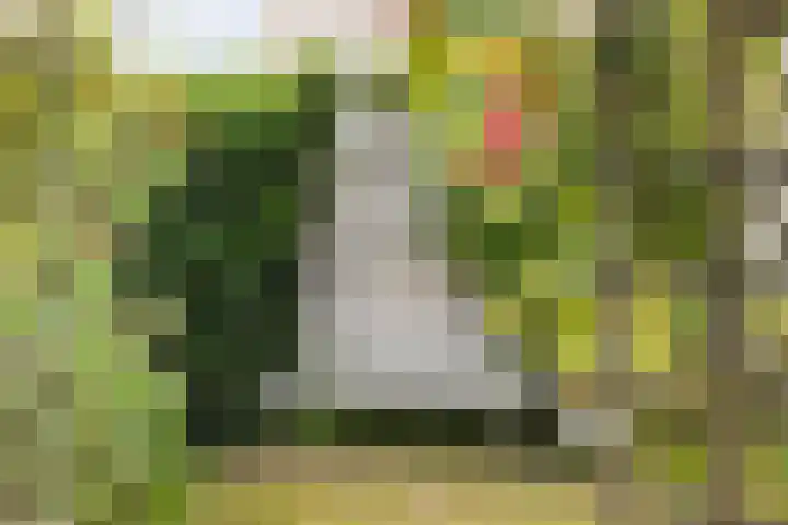 P.J. Troelstrastraat 3 Appelscha thumbnail 37