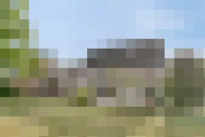 P.J. Troelstrastraat 3 Appelscha thumbnail 5