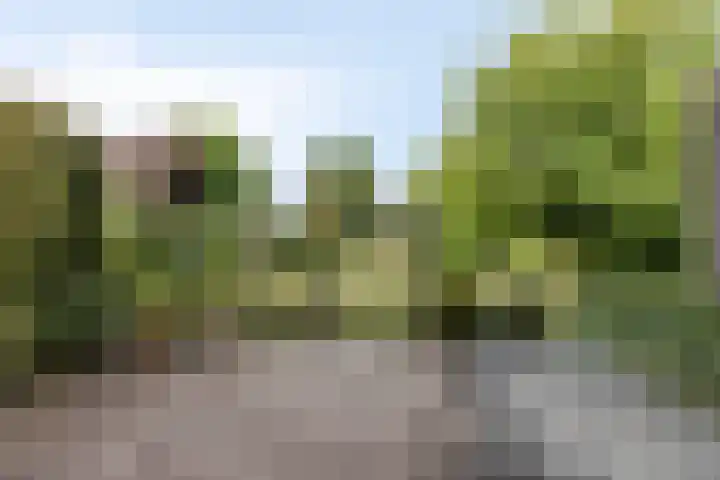 P.J. Troelstrastraat 3 Appelscha thumbnail 6