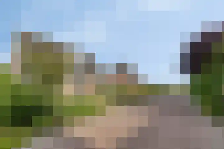 P.J. Troelstrastraat 3 Appelscha thumbnail 8