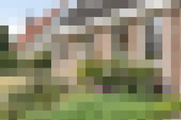 P.J. Troelstrastraat 3 Appelscha thumbnail 9