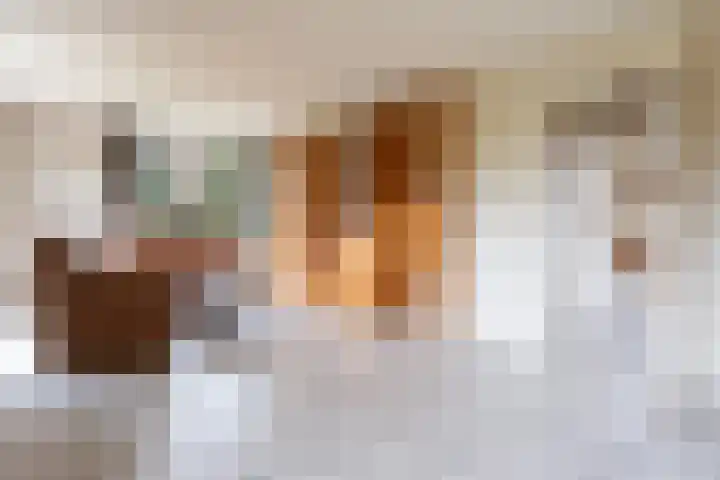 P.J. Troelstrastraat 4 Appelscha thumbnail 16