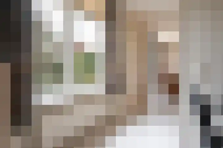 P.J. Troelstrastraat 4 Appelscha thumbnail 19