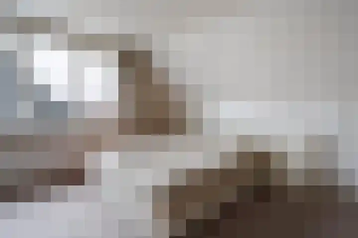P.J. Troelstrastraat 4 Appelscha thumbnail 25