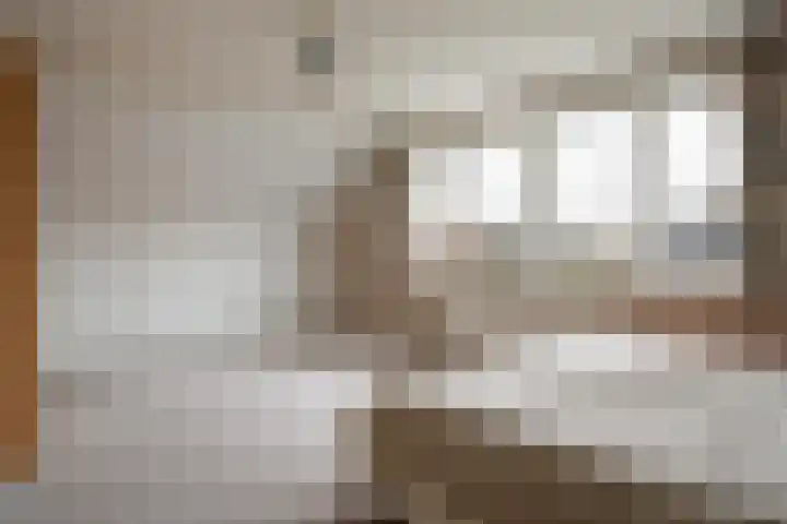P.J. Troelstrastraat 4 Appelscha thumbnail 26