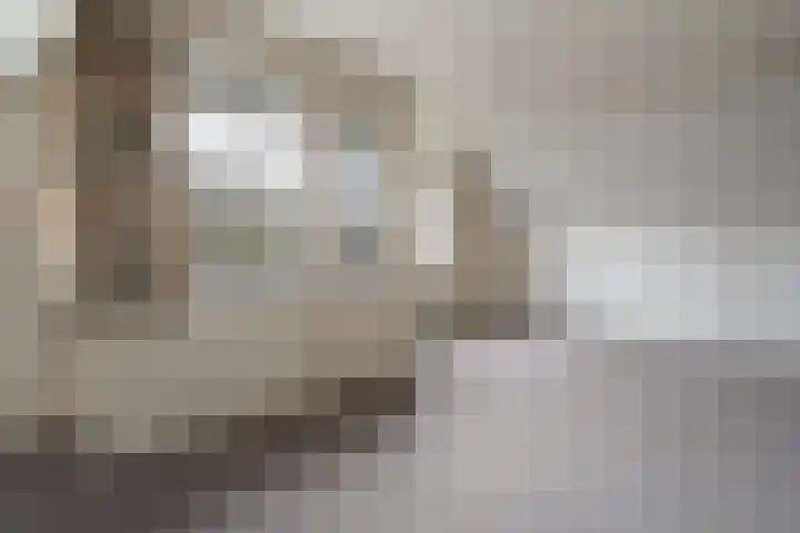 P.J. Troelstrastraat 4 Appelscha thumbnail 33