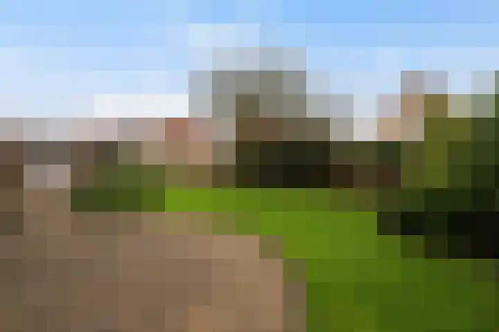 P.J. Troelstrastraat 4 Appelscha thumbnail 34