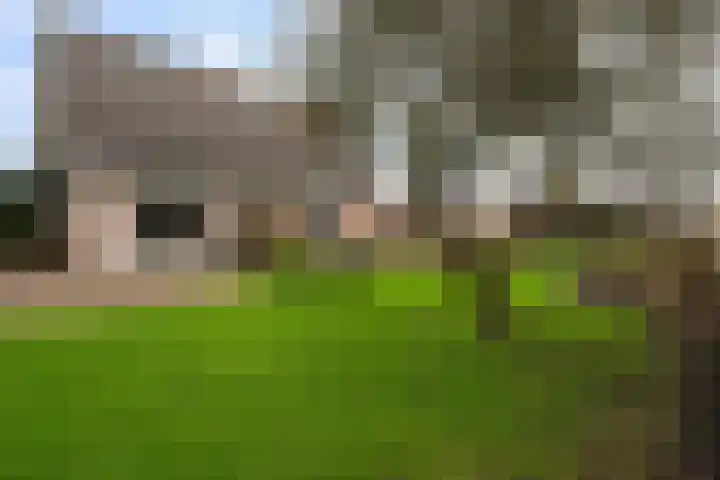P.J. Troelstrastraat 4 Appelscha thumbnail 4