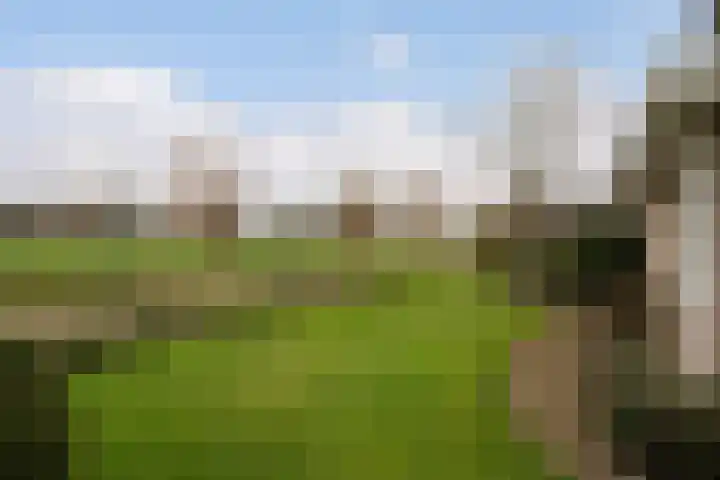 P.J. Troelstrastraat 4 Appelscha thumbnail 40