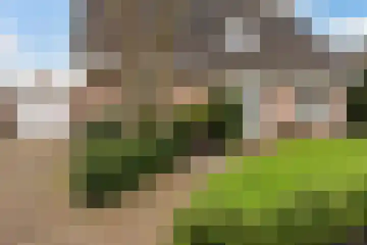P.J. Troelstrastraat 4 Appelscha thumbnail 41