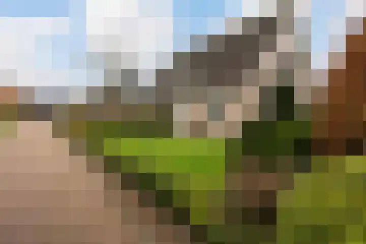 P.J. Troelstrastraat 4 Appelscha thumbnail 43