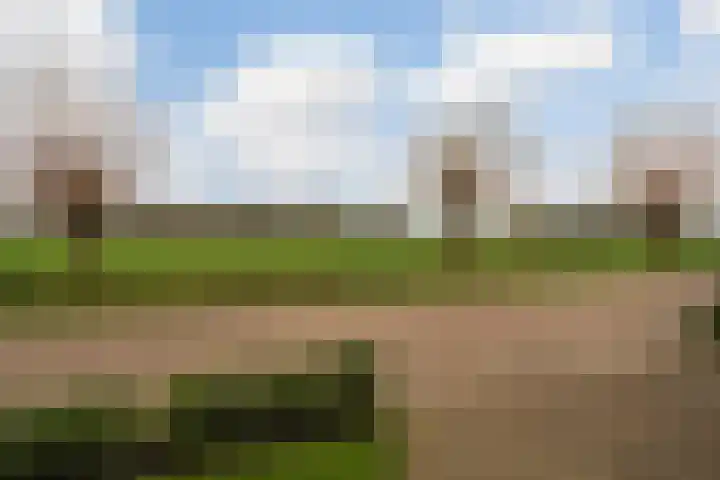P.J. Troelstrastraat 4 Appelscha thumbnail 44