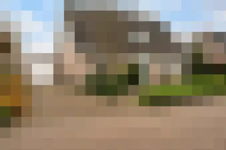 P.J. Troelstrastraat 4 Appelscha thumbnail 6