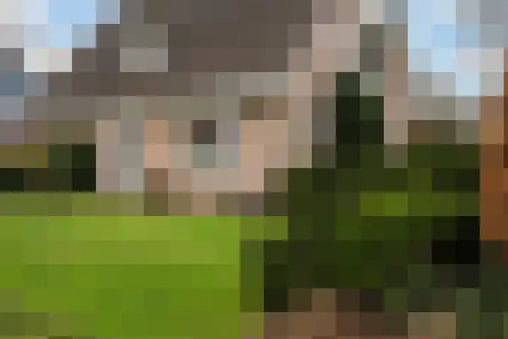 P.J. Troelstrastraat 4 Appelscha thumbnail 7