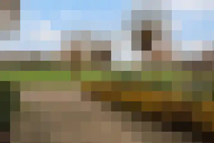 P.J. Troelstrastraat 4 Appelscha thumbnail 8