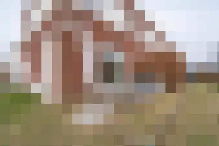 P.J.W. Beltjeslaan 12 Culemborg thumbnail 24