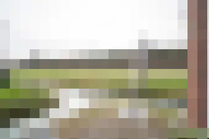 P.J.W. Beltjeslaan 12 Culemborg thumbnail 25