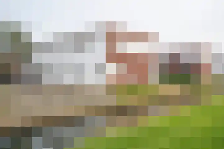 P.J.W. Beltjeslaan 12 Culemborg thumbnail 5