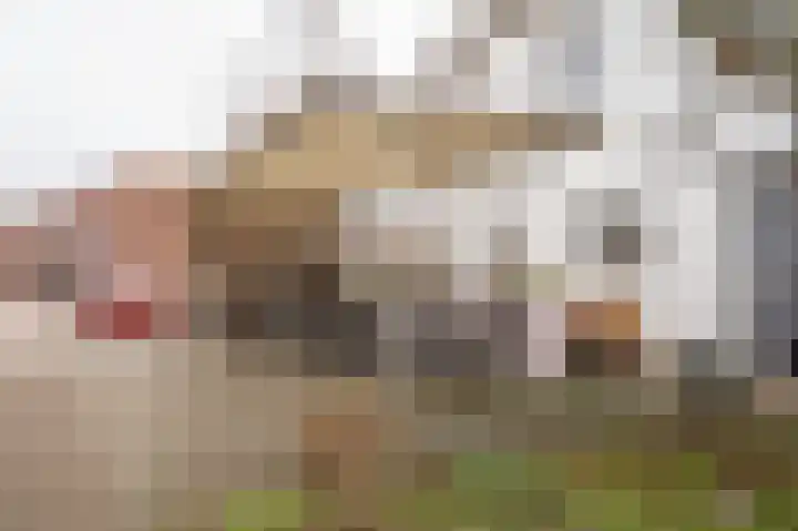 P.J.W. Beltjeslaan 12 Culemborg thumbnail 6