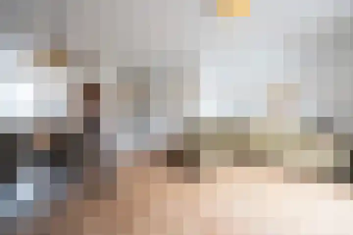 P.J.W. Beltjeslaan 12 Culemborg thumbnail 8