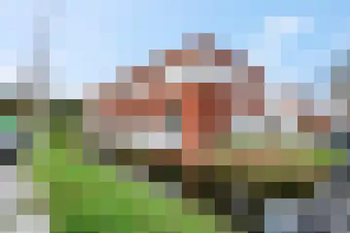 P.J.W. Beltjeslaan 2 Culemborg thumbnail 35