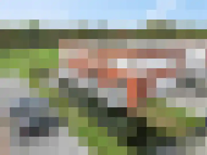 P.J.W. Beltjeslaan 2 Culemborg thumbnail 36