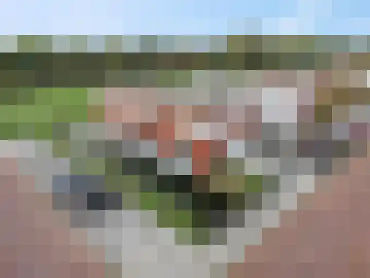 P.J.W. Beltjeslaan 2 Culemborg thumbnail 37