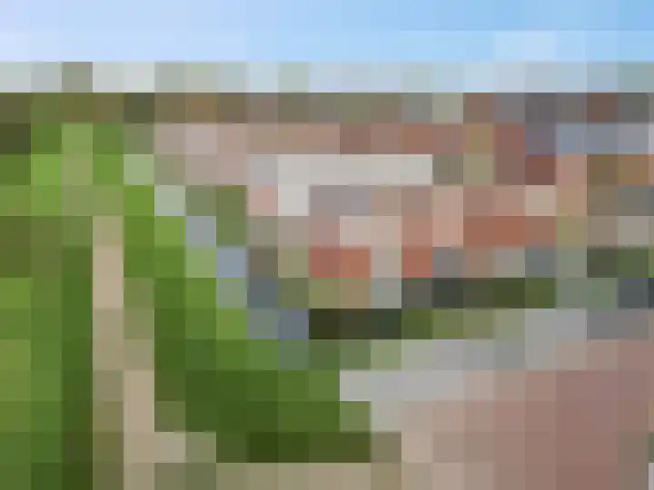 P.J.W. Beltjeslaan 2 Culemborg thumbnail 5