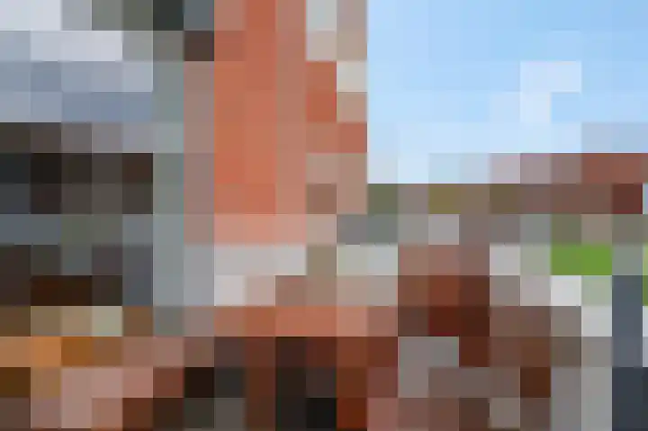 P.J.W. Beltjeslaan 2 Culemborg thumbnail 9