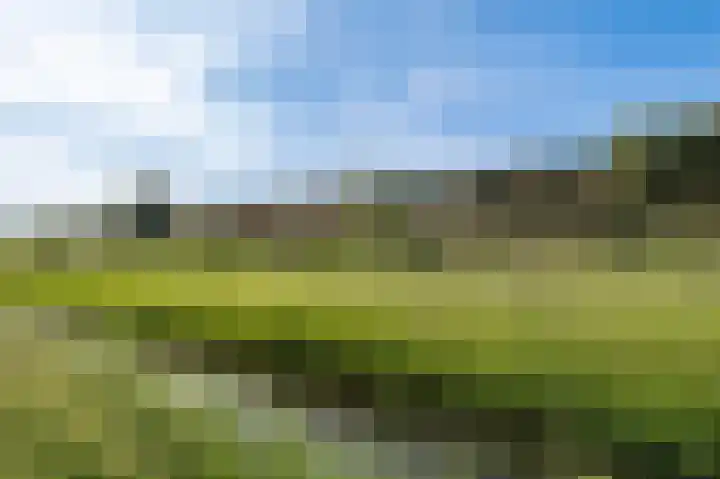 P.J.W. Beltjeslaan 9 Culemborg thumbnail 37