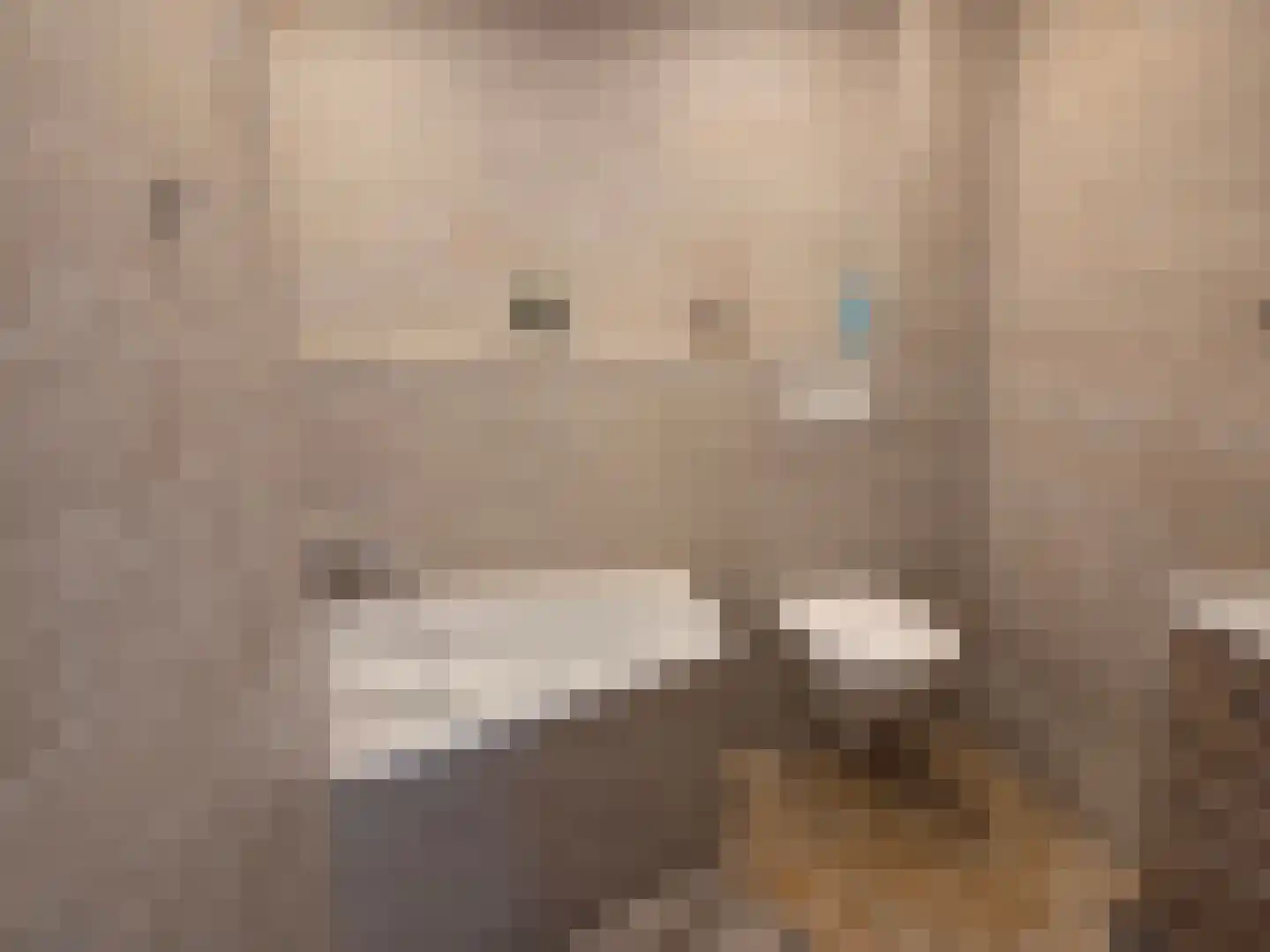P J Warmerdamstraat 19 De Zilk thumbnail 11