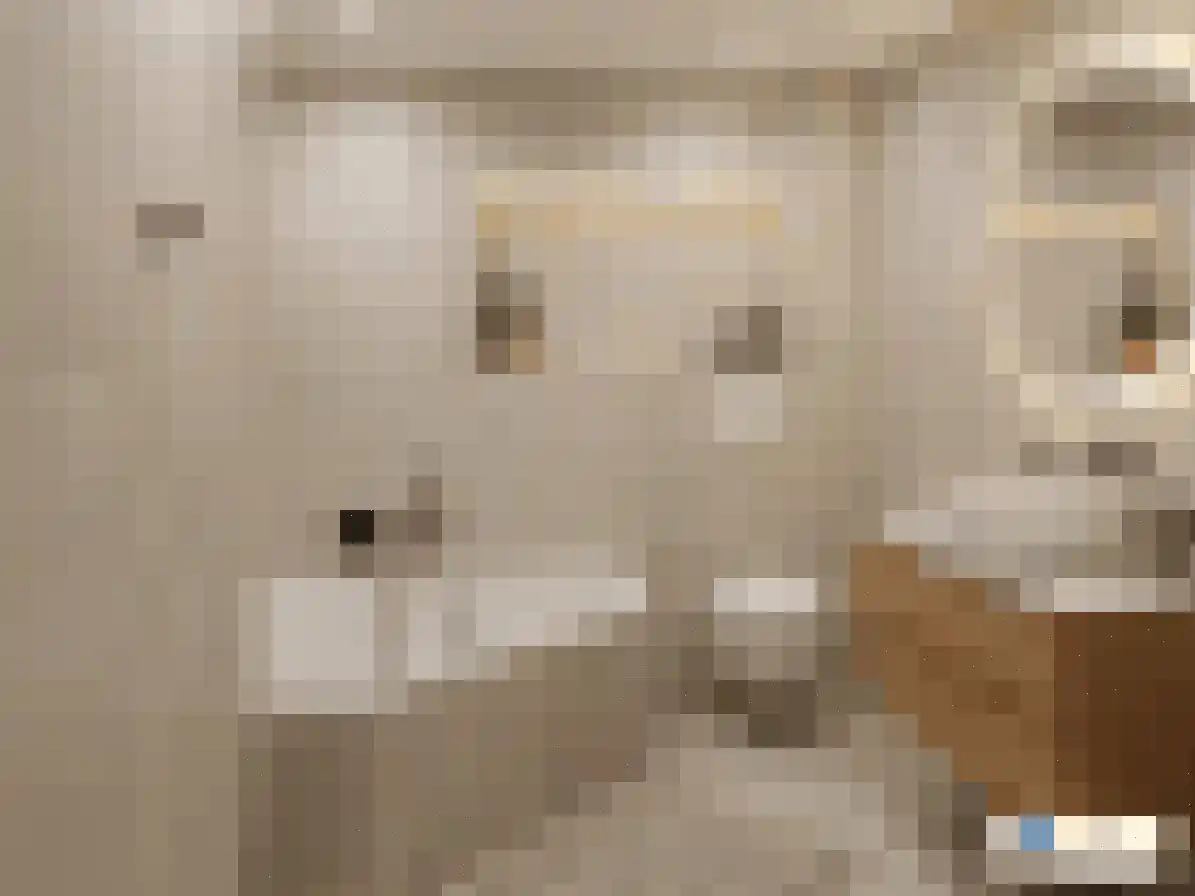 P J Warmerdamstraat 19 De Zilk thumbnail 12