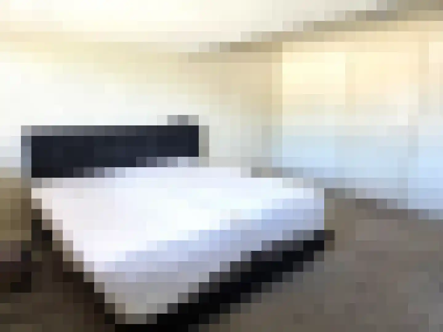 P J Warmerdamstraat 19 De Zilk thumbnail 15