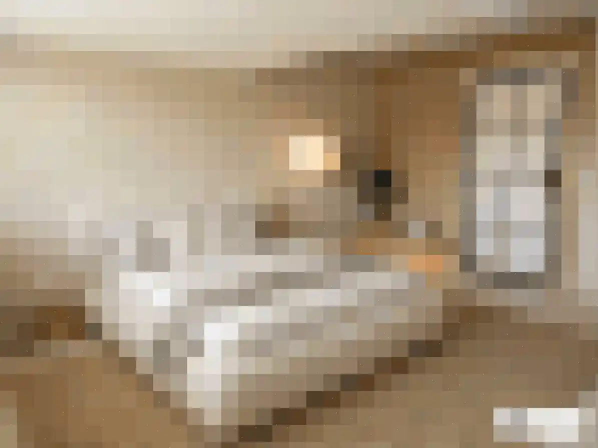P J Warmerdamstraat 19 De Zilk thumbnail 16