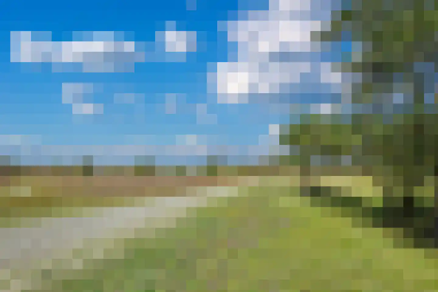 P J Warmerdamstraat 19 De Zilk thumbnail 21