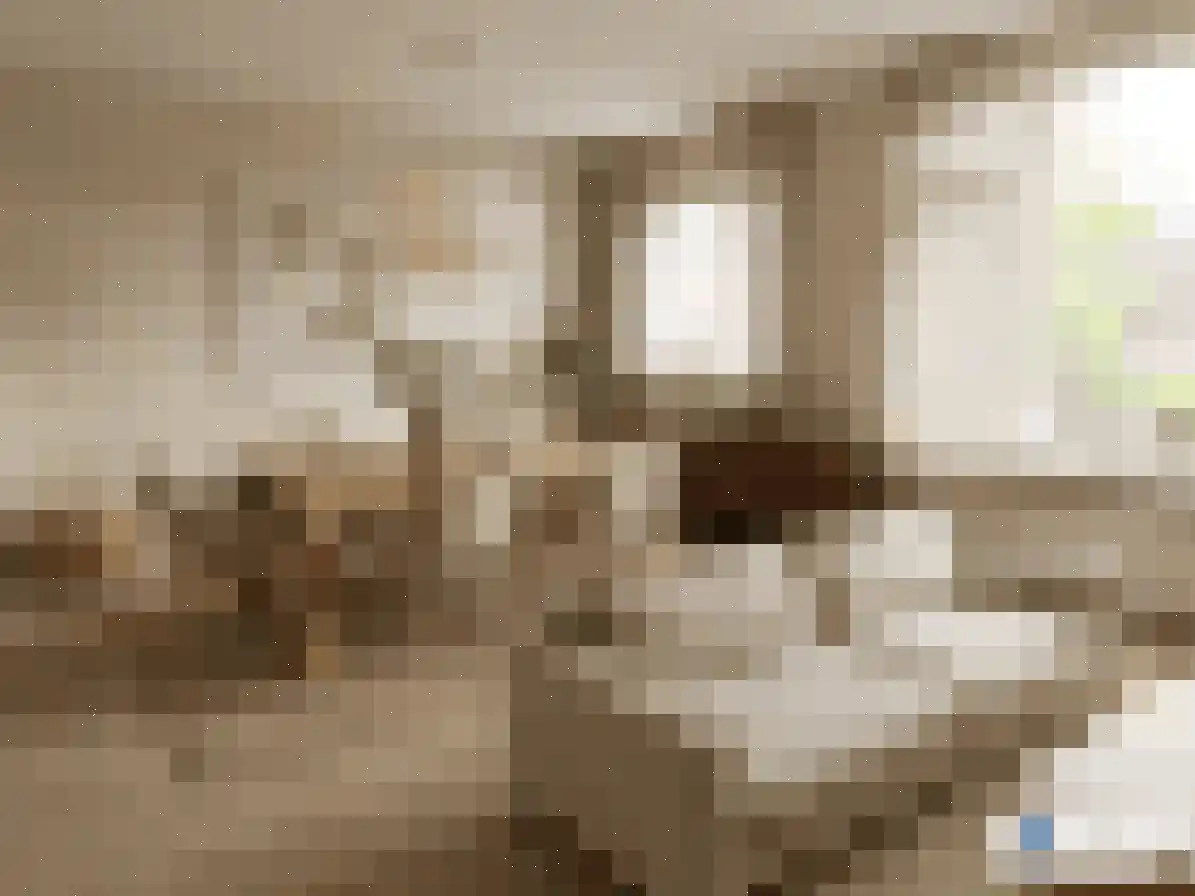P J Warmerdamstraat 19 De Zilk thumbnail 4