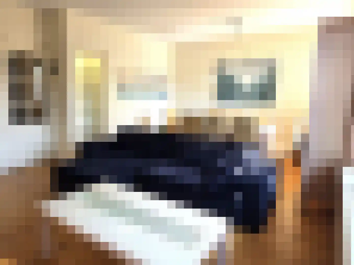 P J Warmerdamstraat 19 De Zilk thumbnail 5
