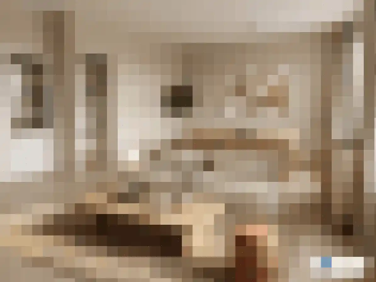 P J Warmerdamstraat 19 De Zilk thumbnail 6