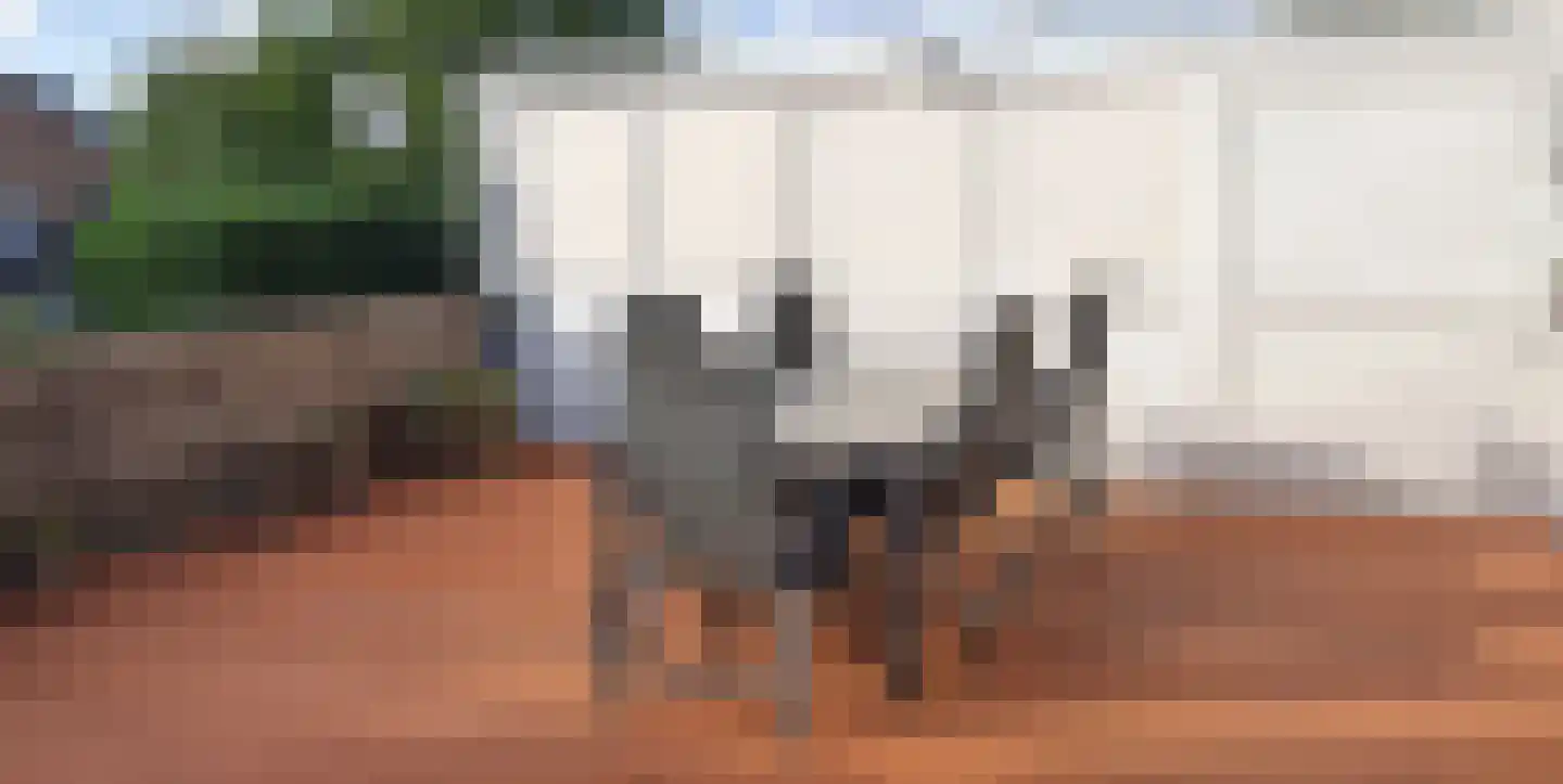 P J Warmerdamstraat 19 De Zilk thumbnail 7