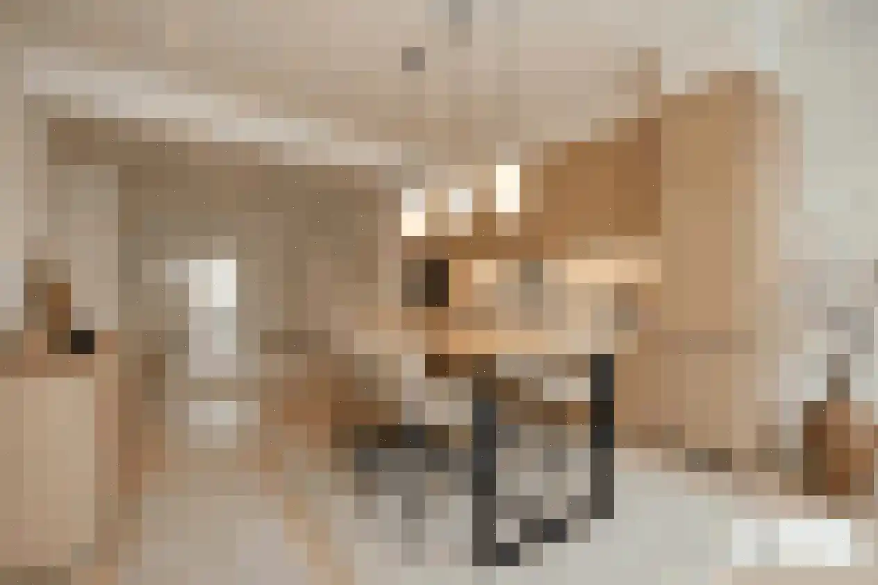 P J Warmerdamstraat 21 De Zilk thumbnail 12