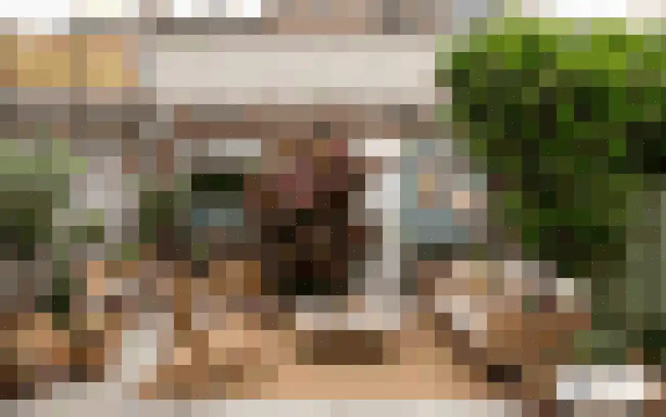 P J Warmerdamstraat 21 De Zilk thumbnail 13
