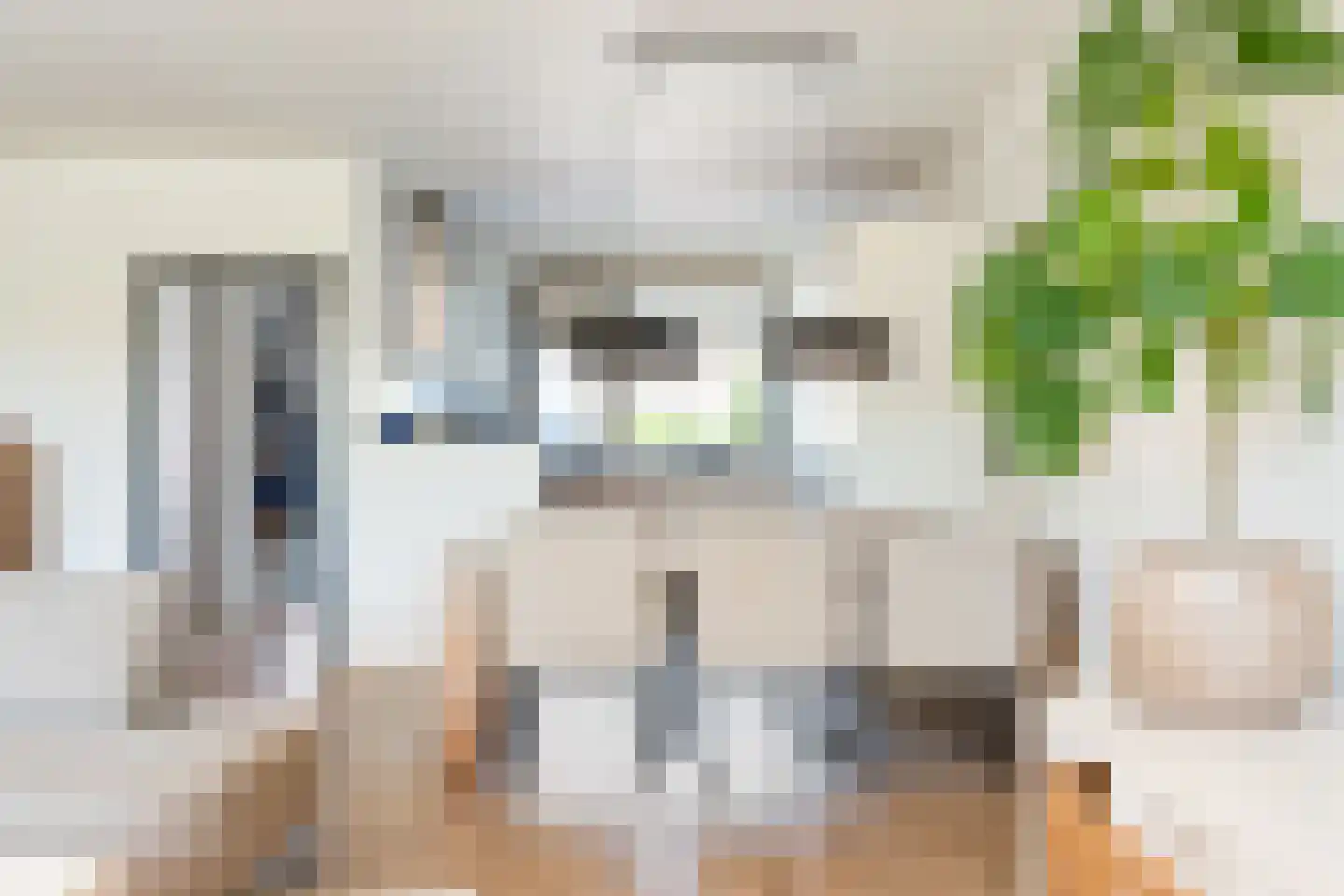 P J Warmerdamstraat 21 De Zilk thumbnail 16