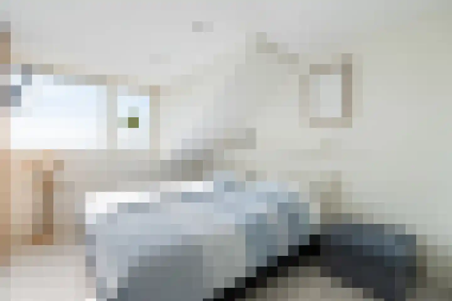 P J Warmerdamstraat 21 De Zilk thumbnail 22