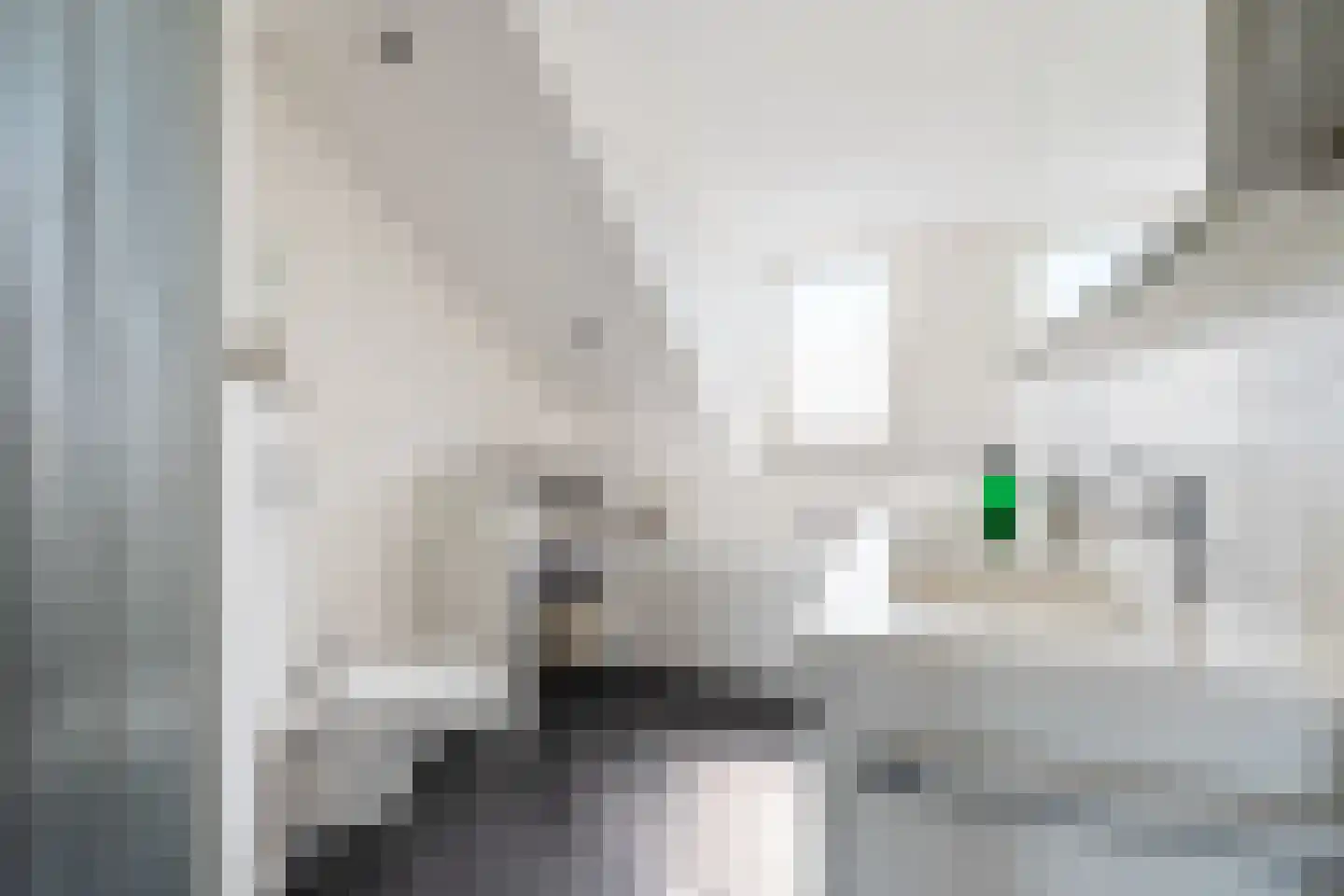 P J Warmerdamstraat 21 De Zilk thumbnail 24