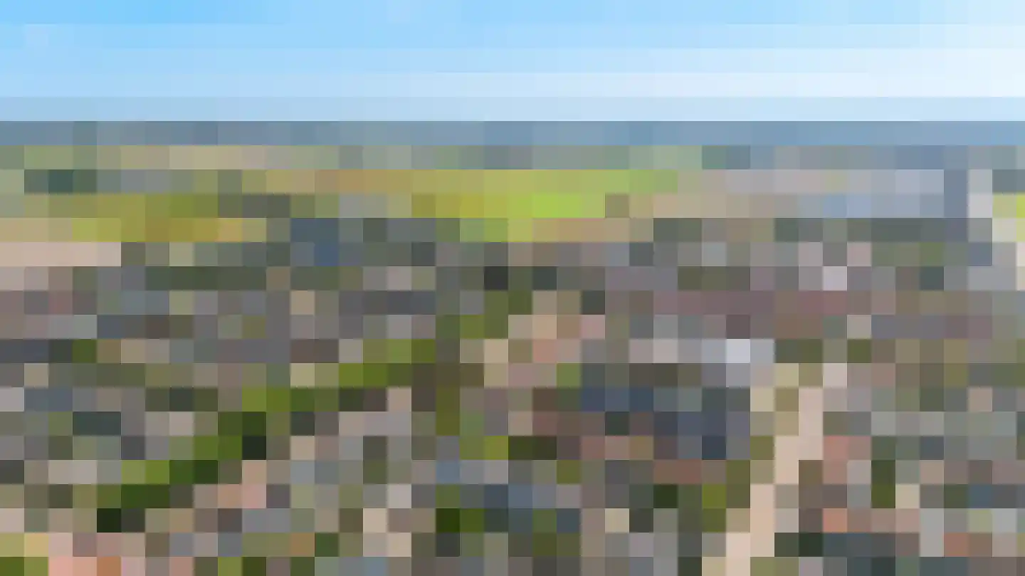 P J Warmerdamstraat 21 De Zilk thumbnail 32