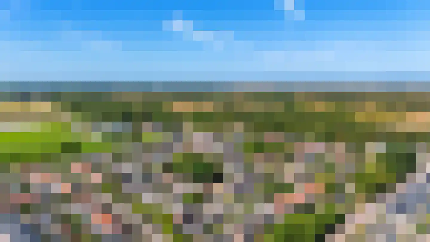 P J Warmerdamstraat 21 De Zilk thumbnail 33